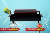 鱼缸净水器漏水应急处理方法（快速解决鱼缸净水器漏水问题）
