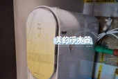 500元净水器安装方法大揭秘（轻松DIY）