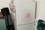 如何处理以莱特燃气灶漏气问题（了解和应对以莱特燃气灶漏气）