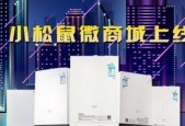 小松鼠壁挂炉显示E3原因解析（探究小松鼠壁挂炉显示E3错误代码的原因及解决方法）