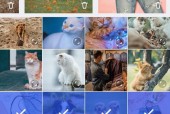 照片拼图（记录·拼贴·共鸣——用照片拼图聚焦生活片段）