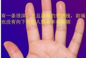 显示器出现密密麻麻方格怎么办？如何快速解决显示问题？