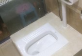 以蹲坑管离墙尺寸是多少（探讨蹲坑管与墙面的距离及其关键影响因素）