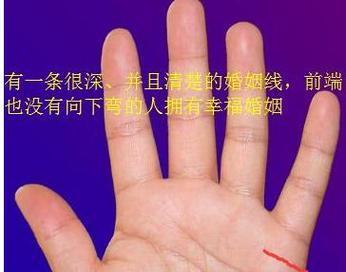 显示器出现密密麻麻方格怎么办？如何快速解决显示问题？  第1张