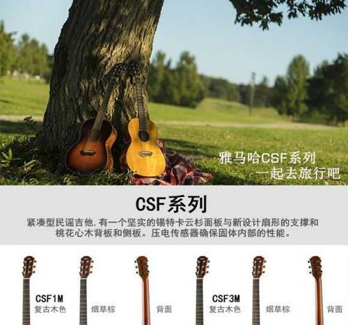 美索吉他充电器的标准电压是多少？使用非标准电压充电器有何风险？  第2张