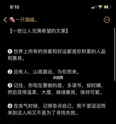 苹果手机中用于添加文案的软件是什么？  第2张