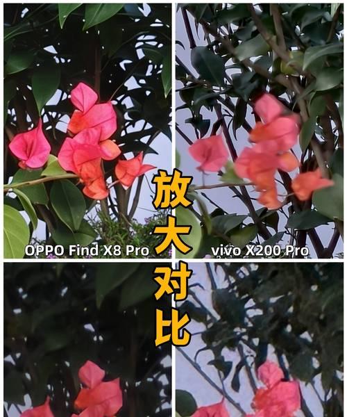 苹果手机如何拍摄最好看的照片？  第3张